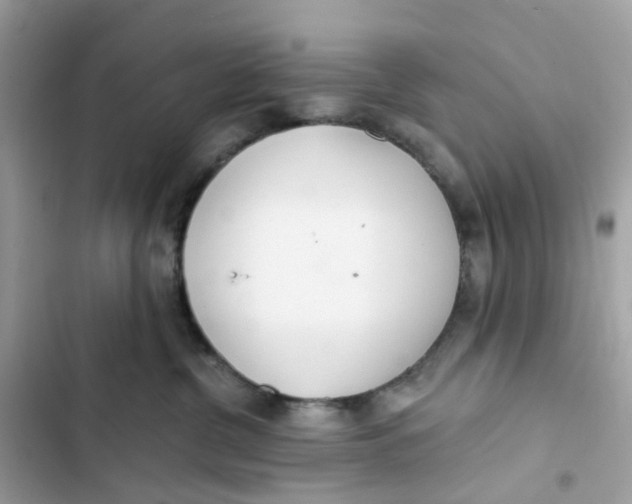 X0000103280380200809191812