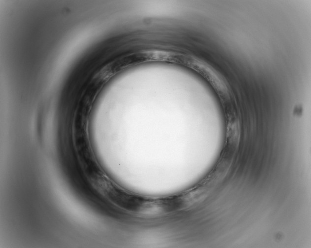 X0000103280381200809191812