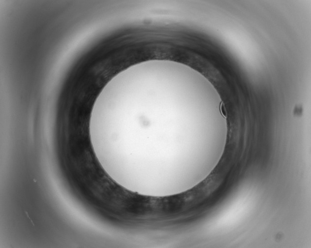 X0000103280383200809191812