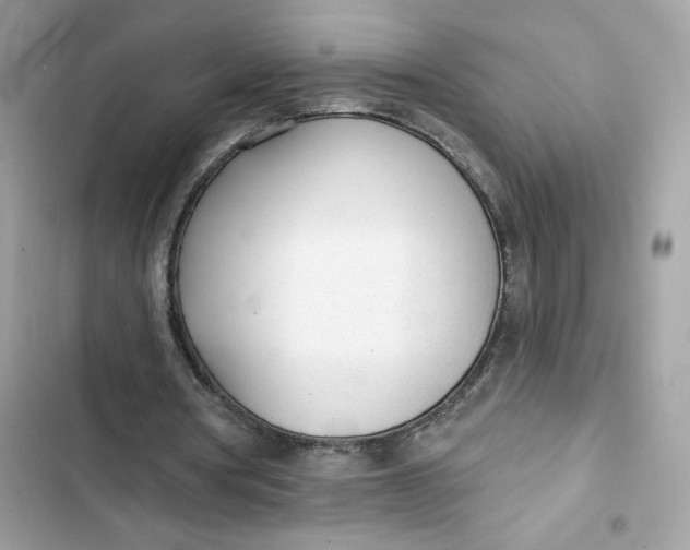 X0000103280386200809191811