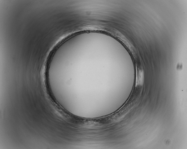 X0000103280387200809191811