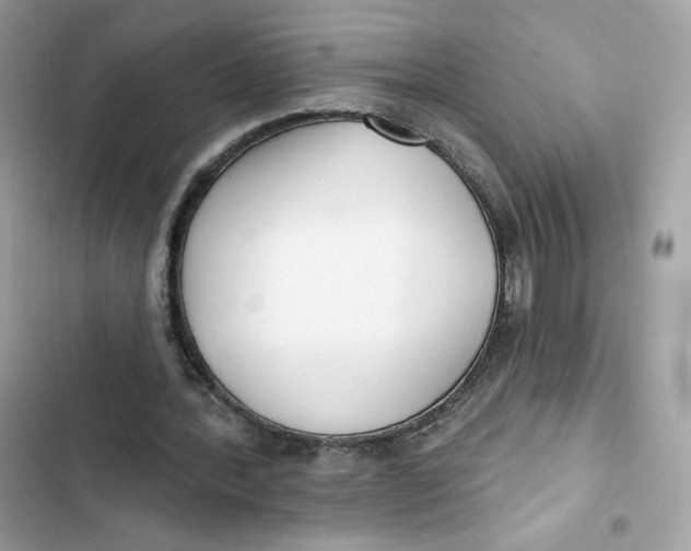 X0000103280388200809191811