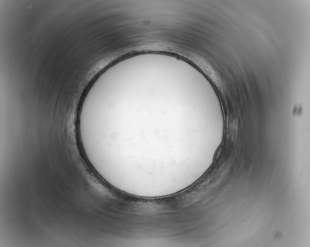 X0000103280389200809191811