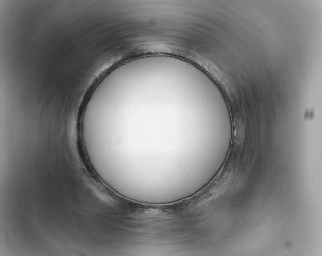 X0000103280390200809191811