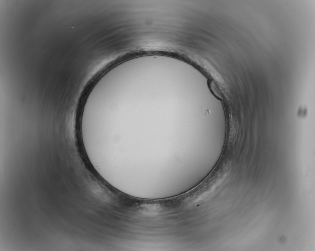 X0000103280391200809191811