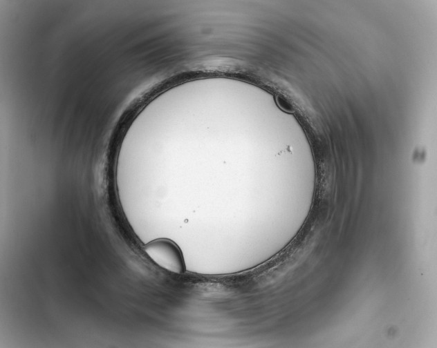 X0000103280392200809191811