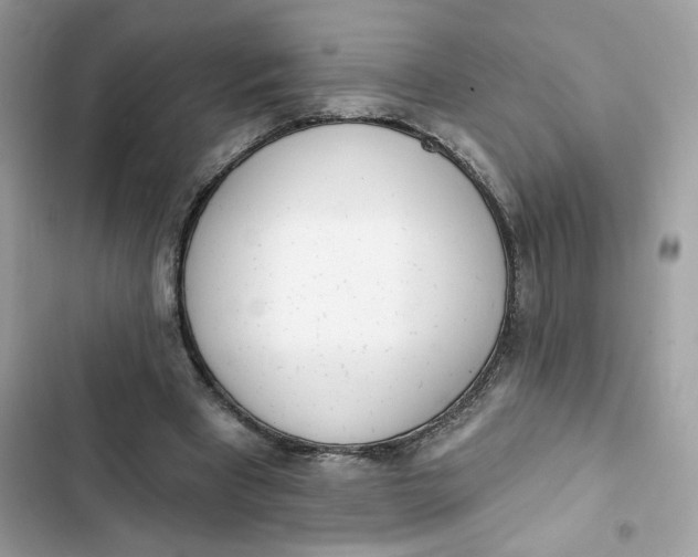 X0000103280393200809191811