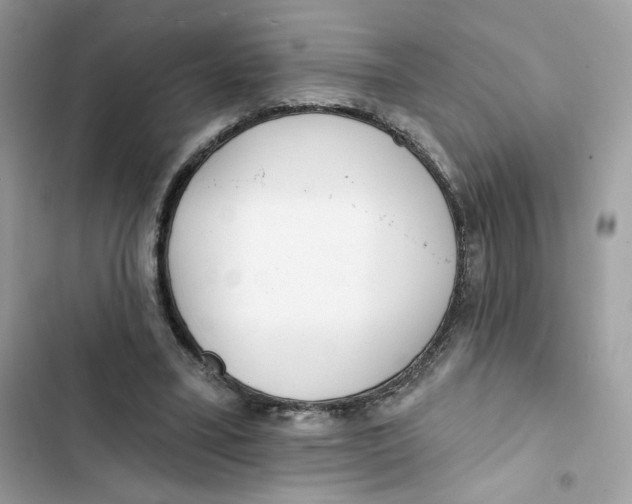 X0000103280395200809191811