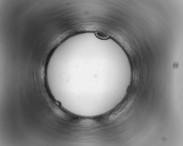 X0000103280397200809191811