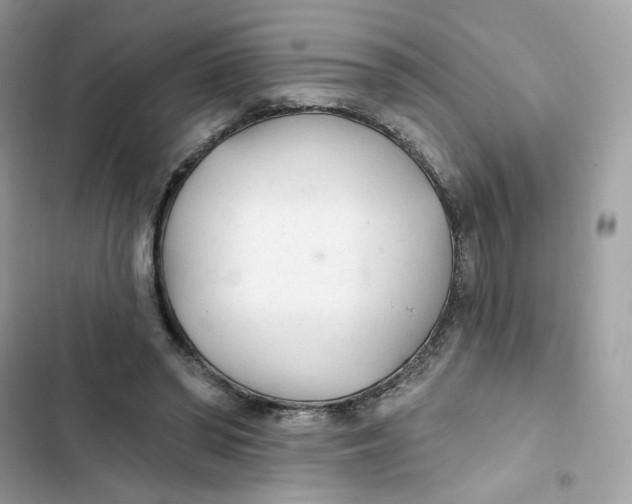 X0000103280398200809191811