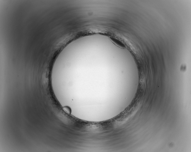 X0000103280402200809191811