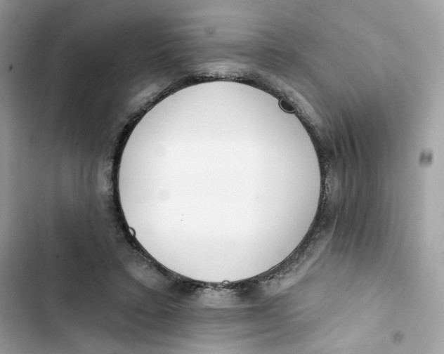 X0000103280403200809191811