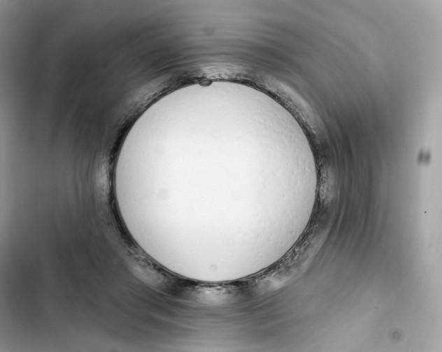 X0000103280405200809191811