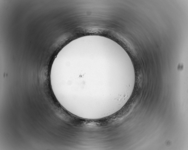 X0000103280407200809191811