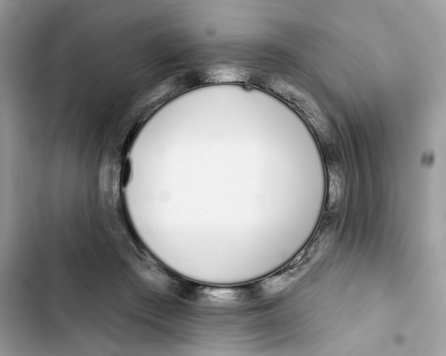 X0000103280409200809191811