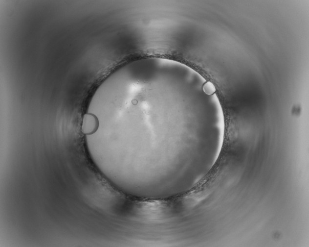 X0000103280411200809191811