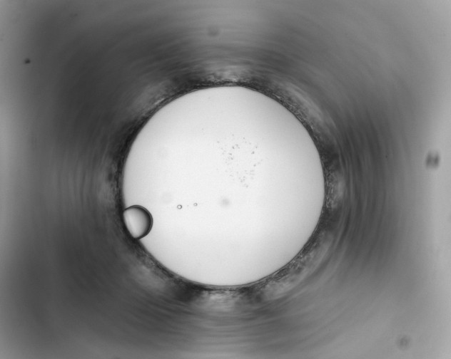 X0000103280414200809191811