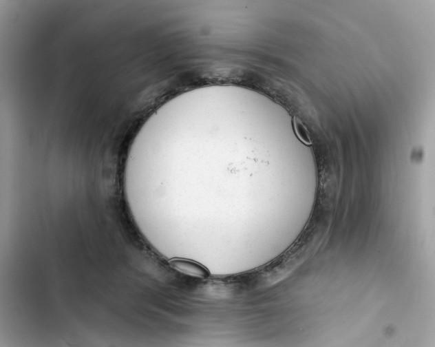 X0000103280416200809191811