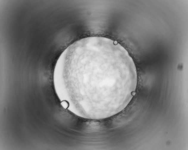 X0000103280419200809191811