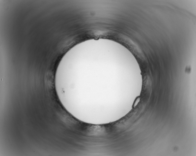 X0000103280421200809191811