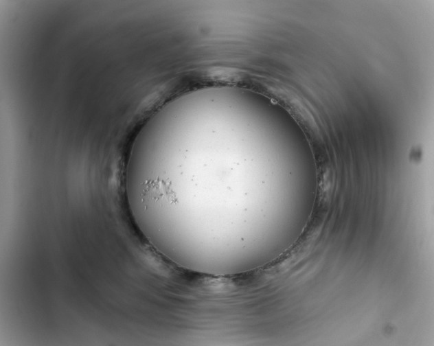 X0000103280424200809191810