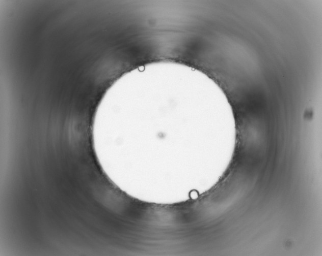 X0000103280427200809191810