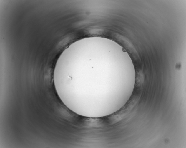 X0000103280428200809191810