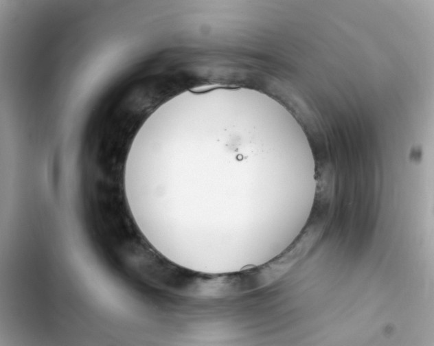 X0000103280430200809191810