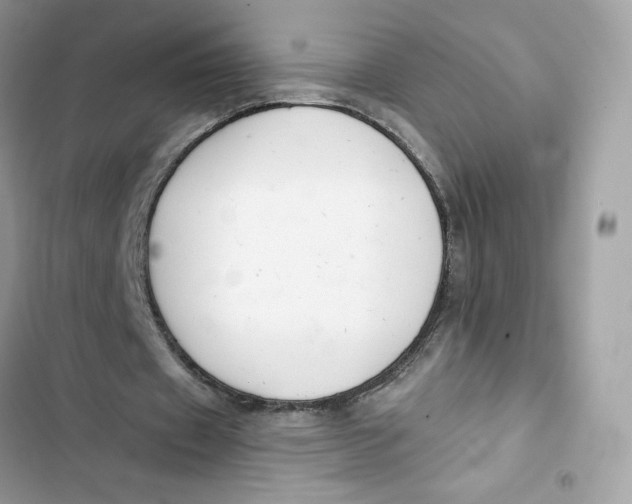 X0000103280433200809191810