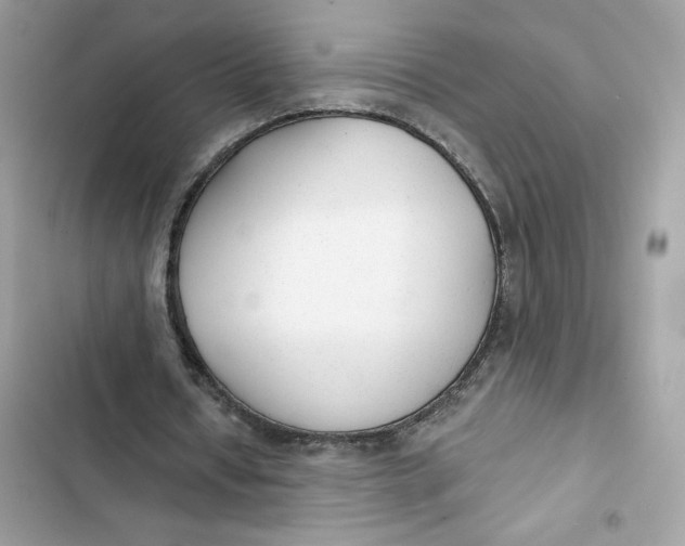 X0000103280434200809191810