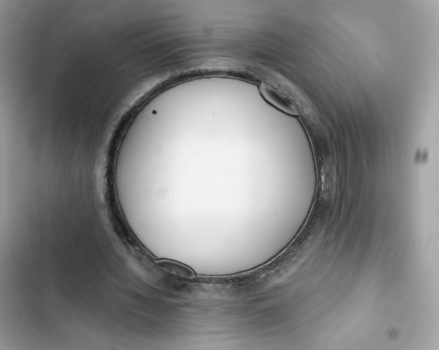 X0000103280436200809191810