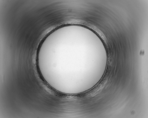 X0000103280437200809191810