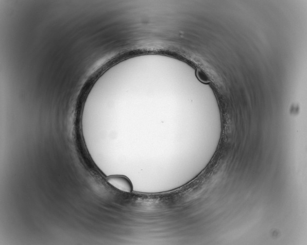 X0000103280440200809191810