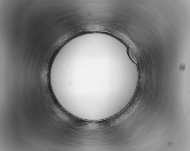 X0000103280441200809191810