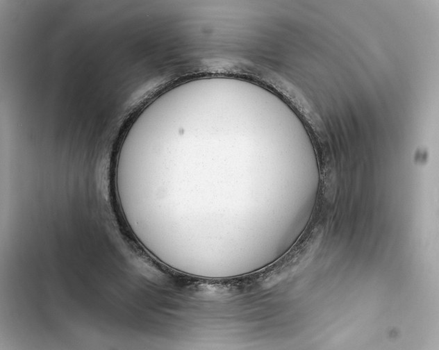 X0000103280442200809191810