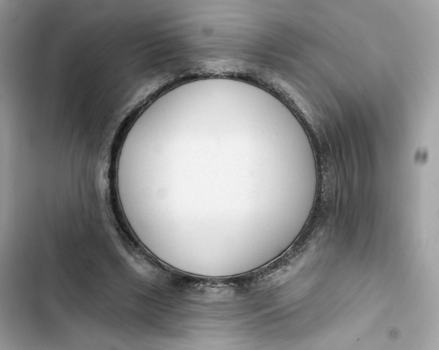 X0000103280443200809191810