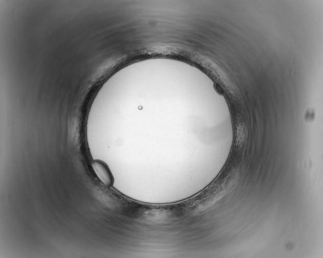 X0000103280444200809191810