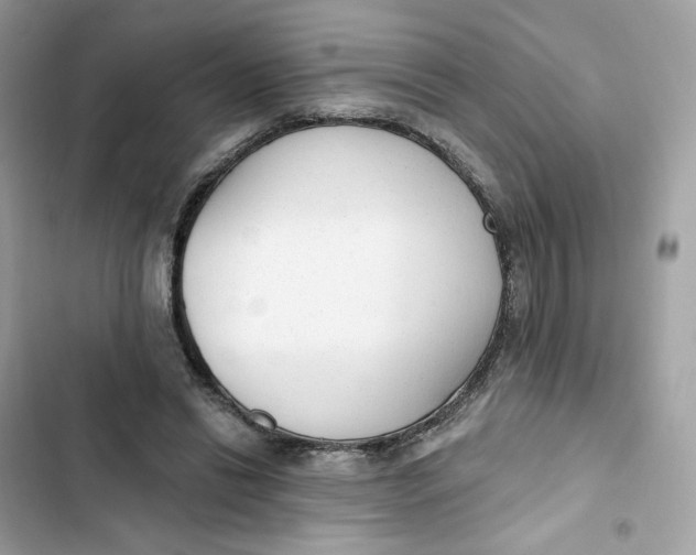 X0000103280446200809191810