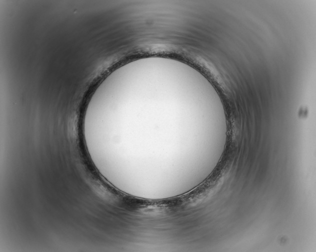 X0000103280447200809191810