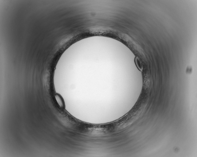 X0000103280448200809191810