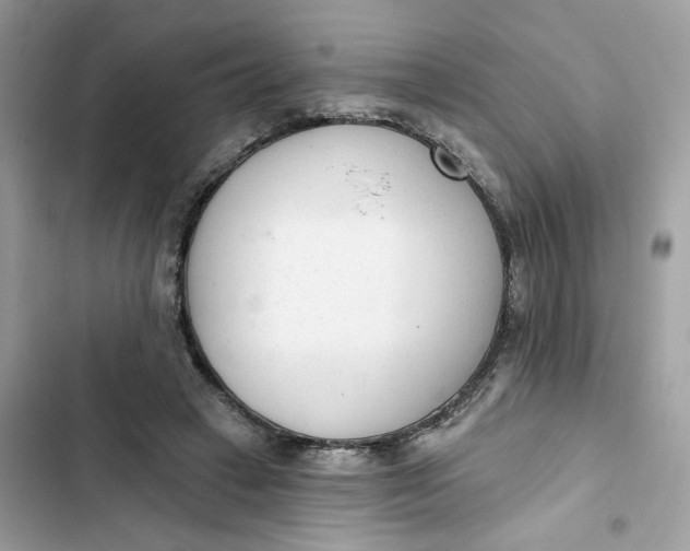 X0000103280449200809191810