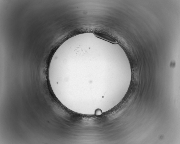 X0000103280450200809191810