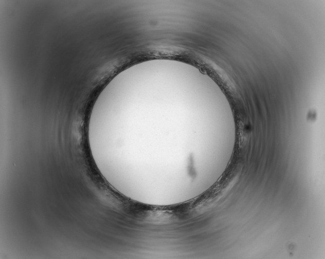 X0000103280451200809191810