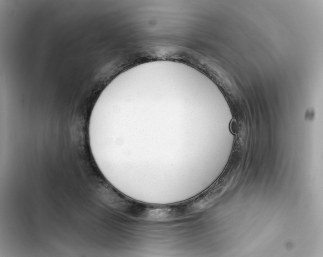 X0000103280461200809191810