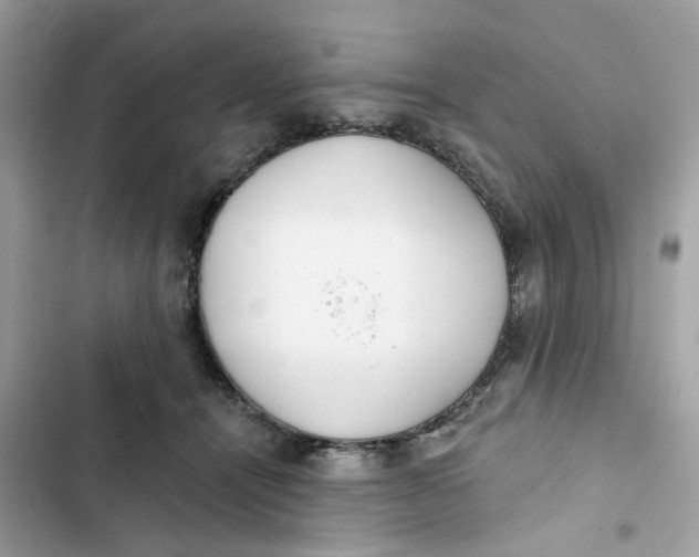 X0000103280464200809191810