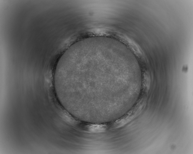 X0000103280465200809191810