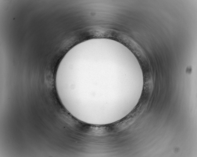 X0000103280469200809191810