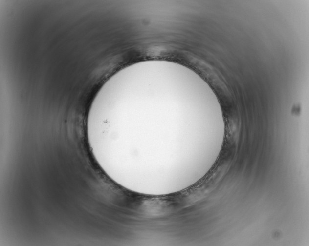 X0000103280470200809191810