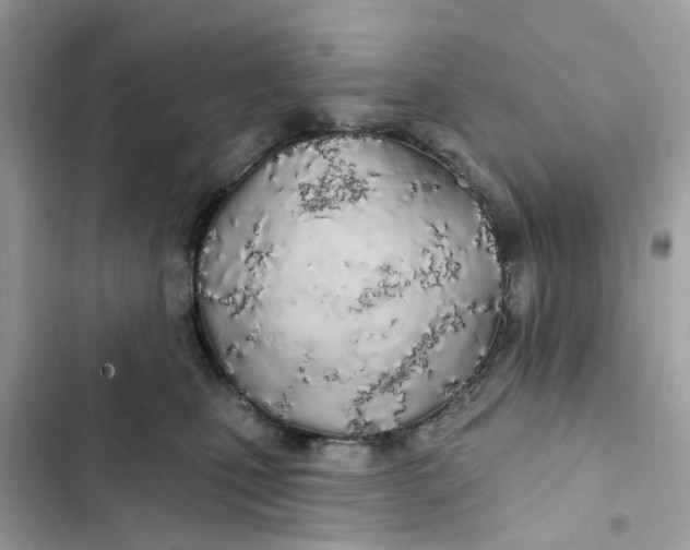 X0000103280471200809191810