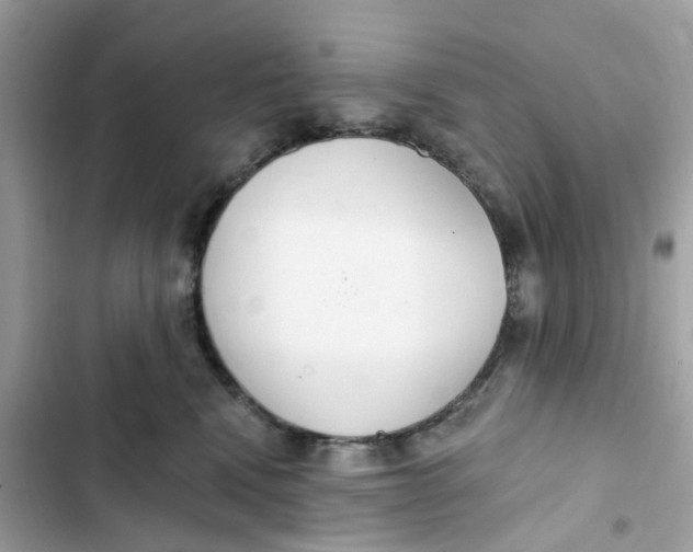 X0000103280472200809191810